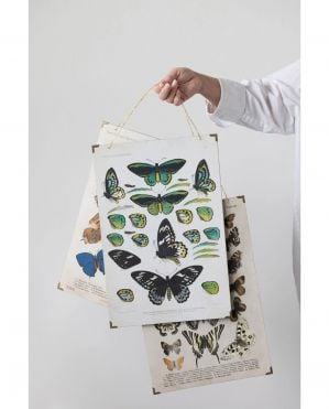 butterfly paper wall decor 